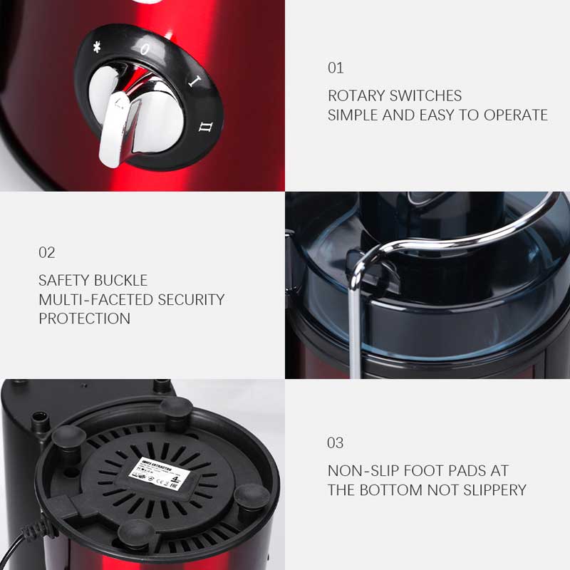 Sokovnik 1000W RAF R.2817R - detalj