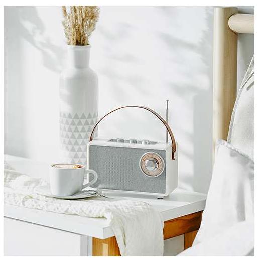 Retro Radio sa punjivom baterijom Bluetooth 5.1 Camry CR1902W - detalj