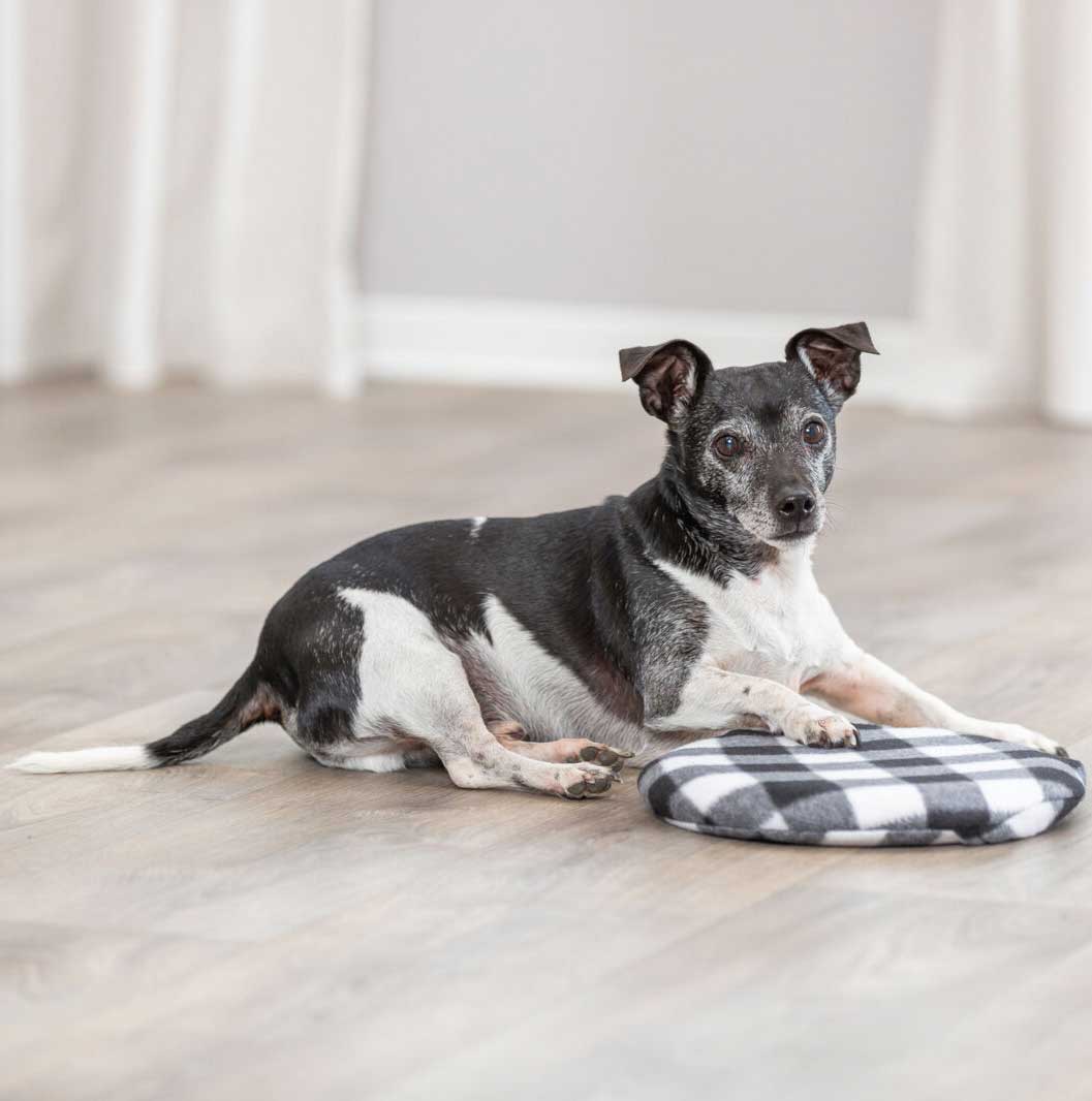 Termofor - jastuče za grejanje i hlađenje za ljubimce Trixie 28792 - detalj