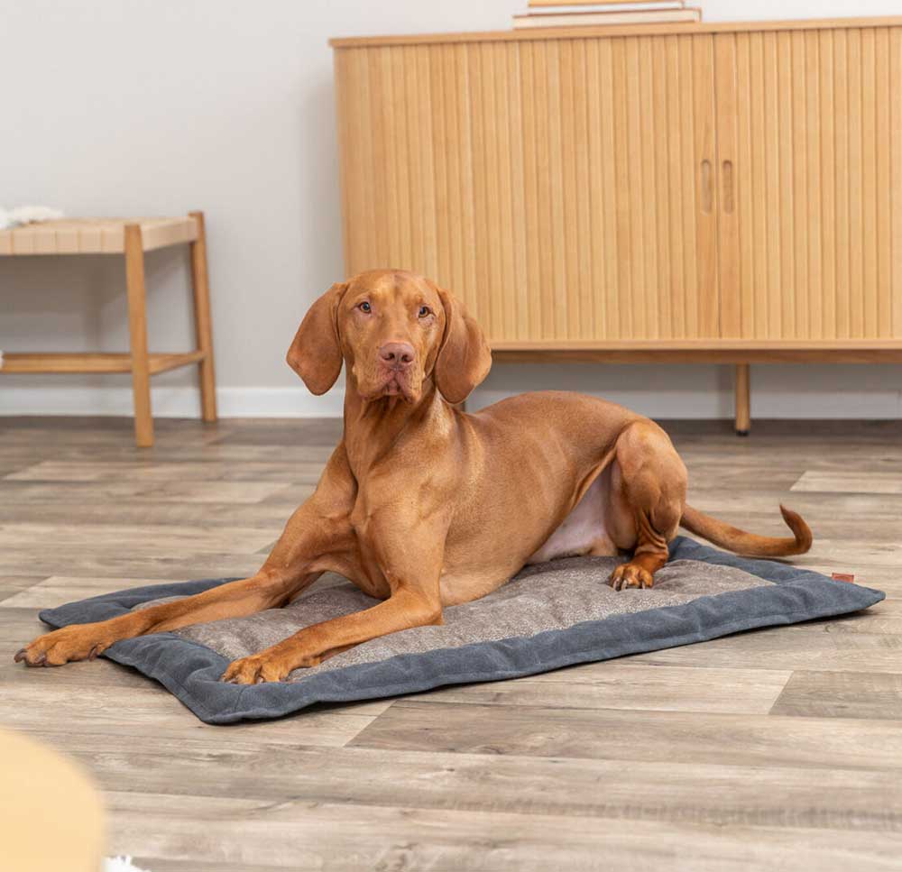 Prostirka za pse 100cm Be Nordic Fohr Trixie 36508 - detalj