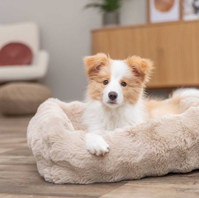 Krevet za velike pse 120x80cm Elli sand Trixie 374083 - detalj