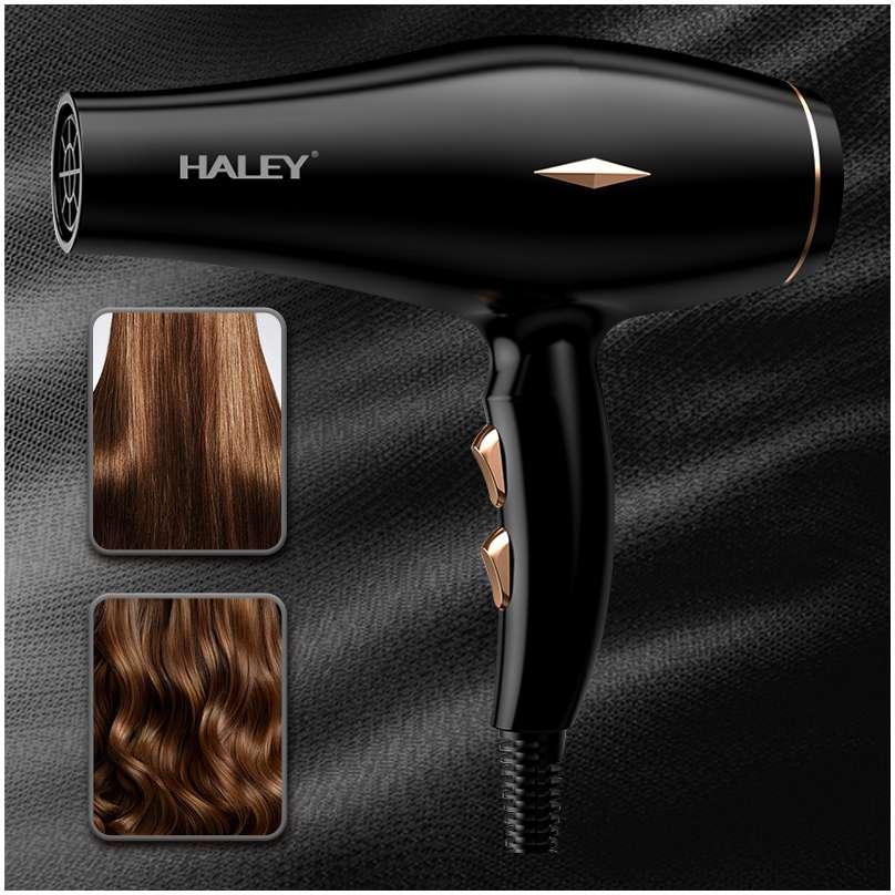 Haley Fen za kosu 2200W Crni HY4031 - detalj