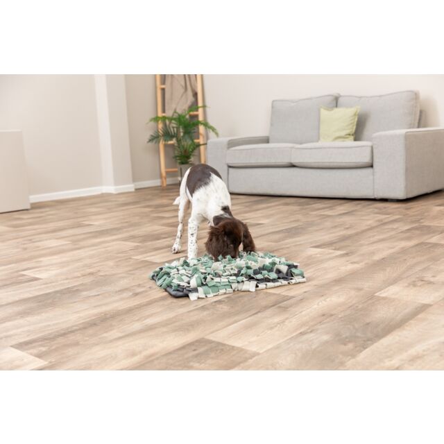 Igračka za pse za skrivanje poslastica Tepih 50cm TRIXIE 32037 - detalj