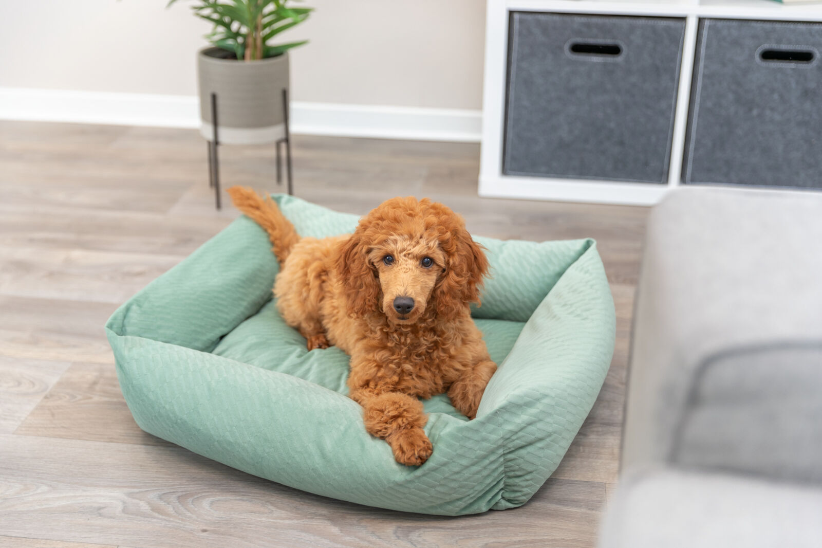 Krevet za pse 80x60cm Alena green TRIXIE 37793 - detalj