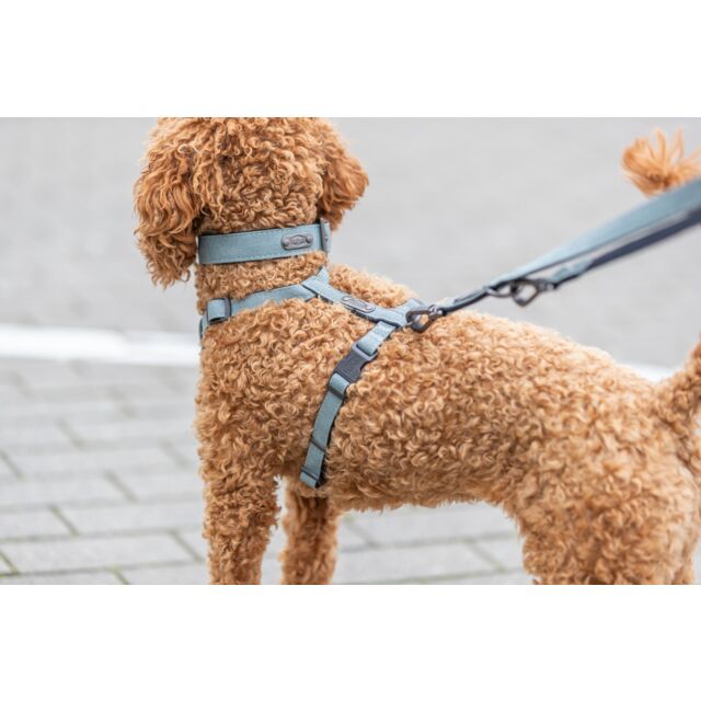 Ogrlica za pse 45-52cm CityStyle sage TRIXIE 1970816 - detalj