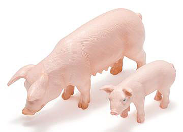 Schleich Domaće životinje - Prase, stoji 13289 - detalj