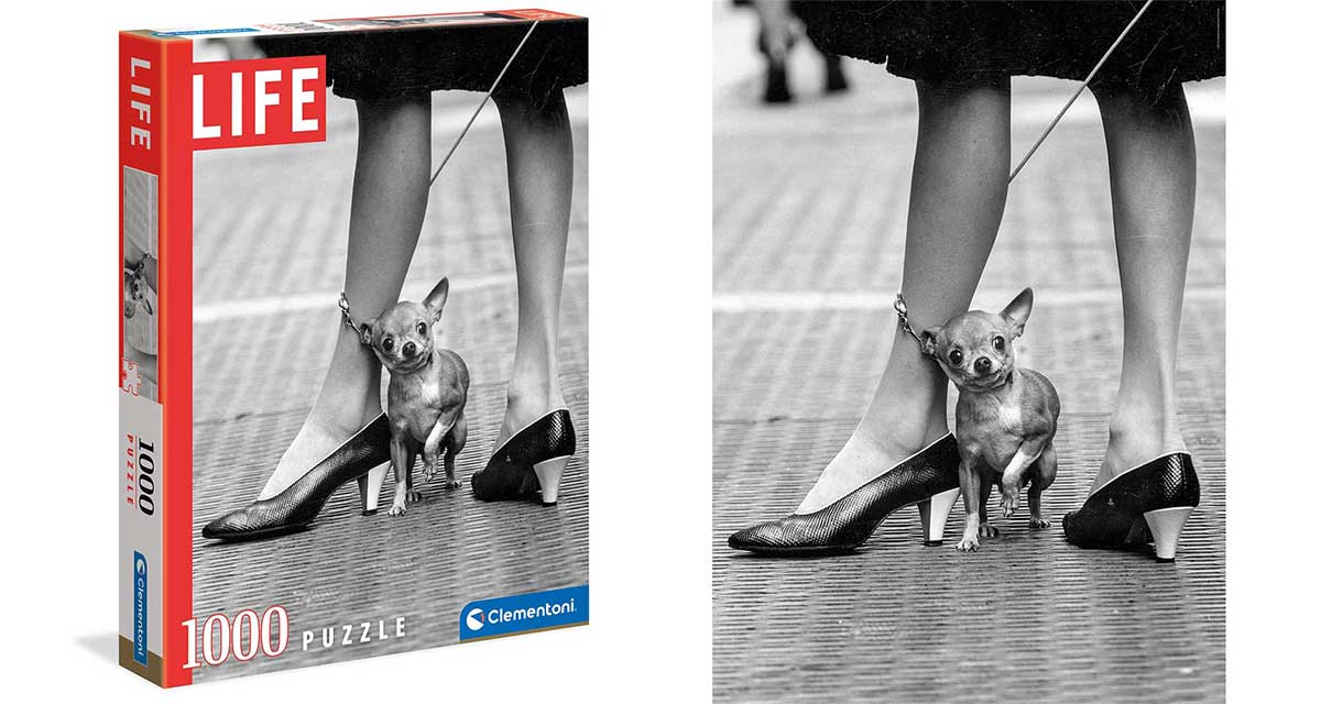 CLEMENTONI Slagalica Čivava 1000 delova HQC Life Collection CL39634 - detalj