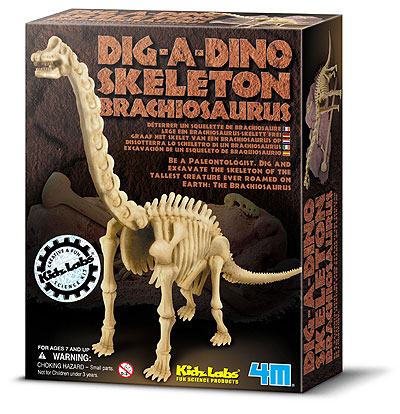 Dino Skeleton - Brachiosaurus - 032/132 - 03237 - detalj