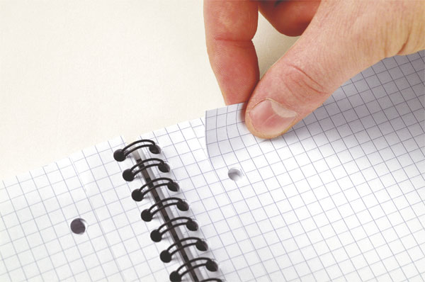 Sveska Oxford International Meetingbook A4+ kvadratići 06XI441 - detalj