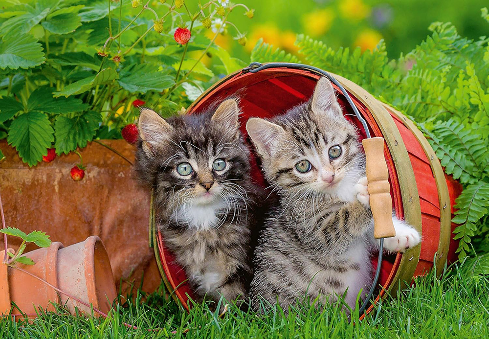 Ravensburger Puzzle slagalice 2x12 delova Mačići 07626 - detalj