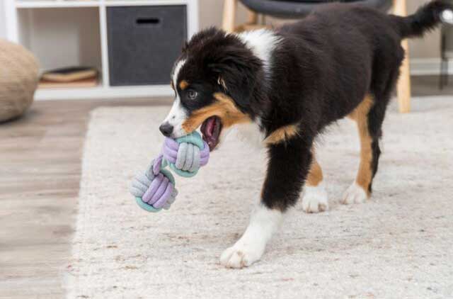 Trixie Igračka za pse Junior Teg od kanapa 15cm 32811 - detalj