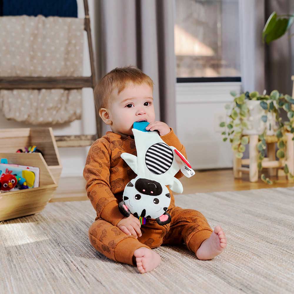 Senzorna igračka i glodalica za bebe Zebra Zen Baby Einstein™ 12490 - detalj