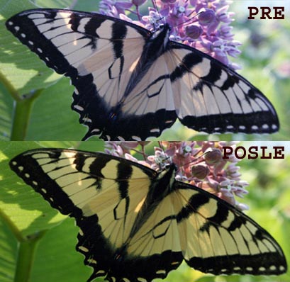 Pantone Huey - uređaj za kalibraciju monitora - detalj