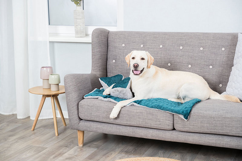 Trixie Jastuk za pse za potporu glave i vrata Estelle petrol 92720 - detalj