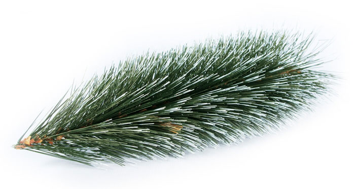 Novogodišnja Jelka - Stjordal - Gusta Sa Belim Vrhovima - Mraz - 100 cm - detalj