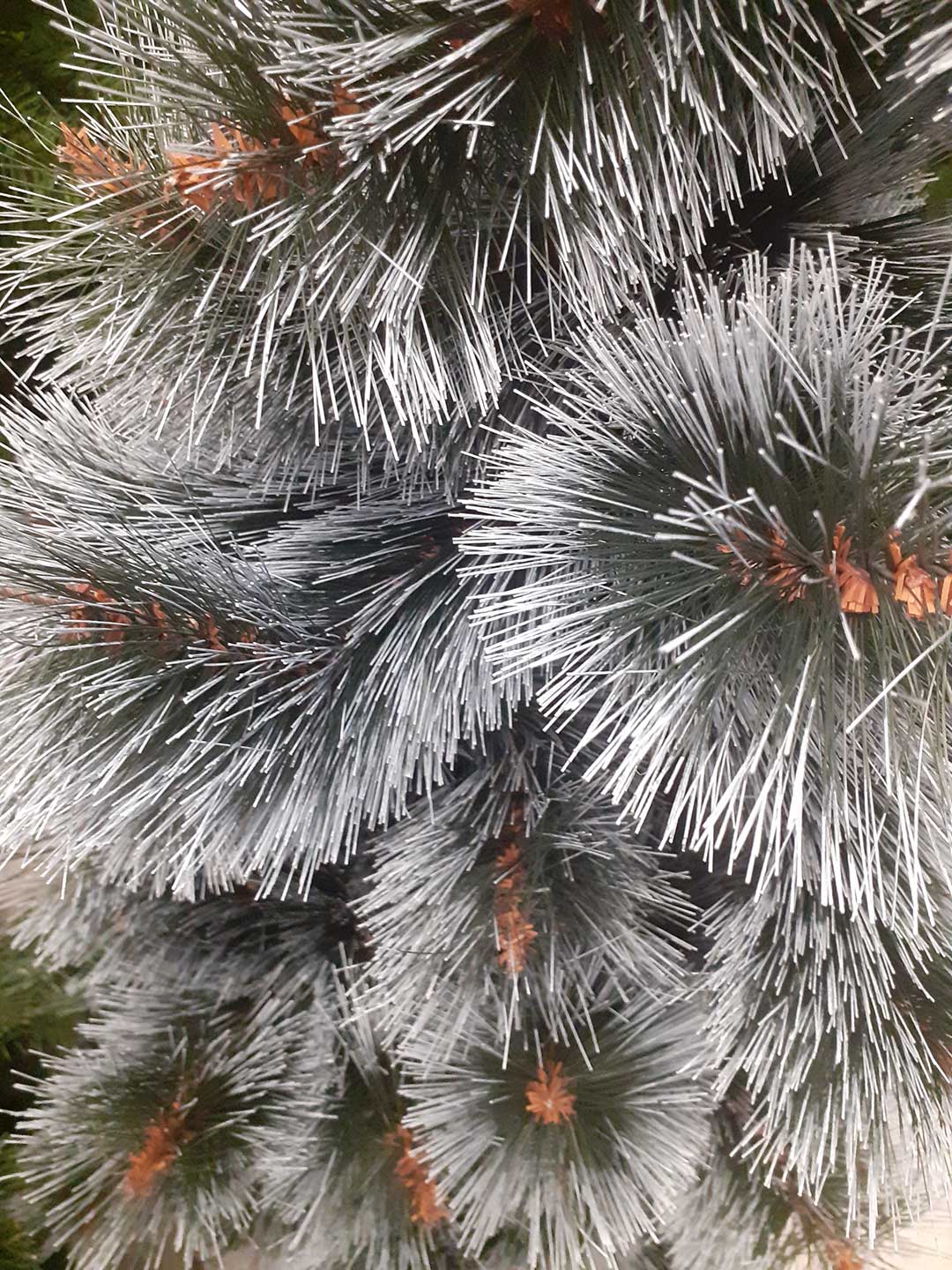 Novogodišnja Jelka - Stjordal - Gusta Sa Belim Vrhovima - Mraz - 120 cm - detalj