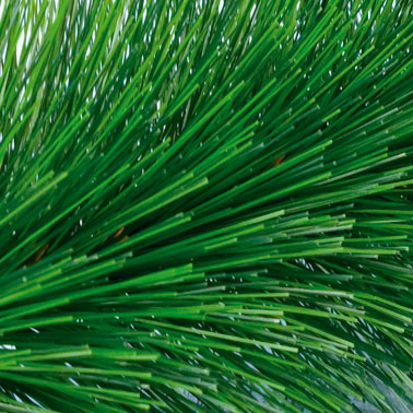 Novogodišnja Jelka Arctic Fantasy 120 cm Gusta Netoksična - detalj