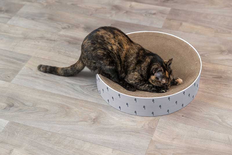 Kružna kartonska grebalica za mačke 45cm Lilly Trixie 48014 - detalj