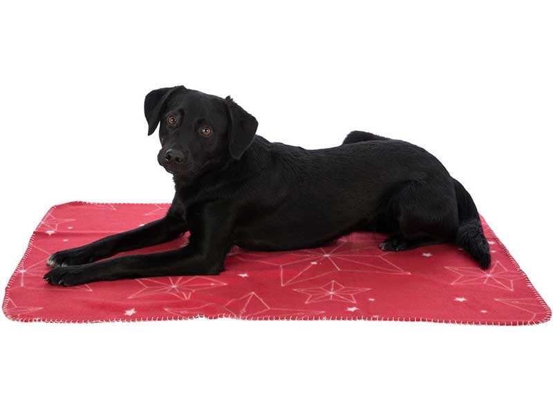 Novogodišnje ćebe za pse 150cm Luciano 924132 - detalj