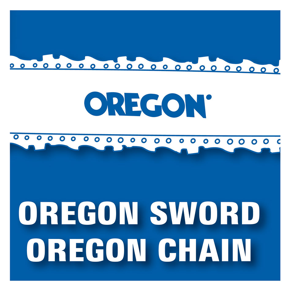 Benzinska Motorna Testera Einhell BG-PC 4040/1 4501353 - detalj