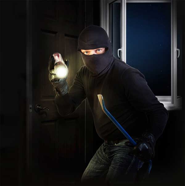 Bežična Smart WiFi kamera za nadzor preko telefona Clever Dog 1WP 025602 - detalj