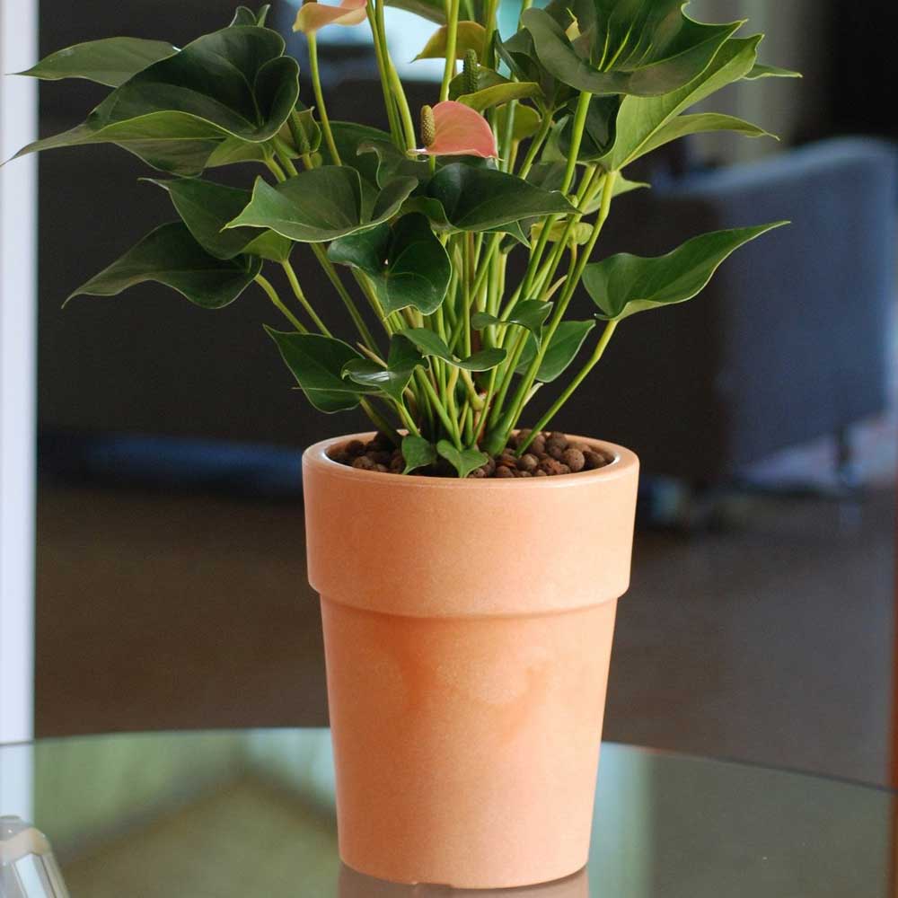 Ukrasna saksija Evolution Matt Ares 40cm Bordeaux - detalj