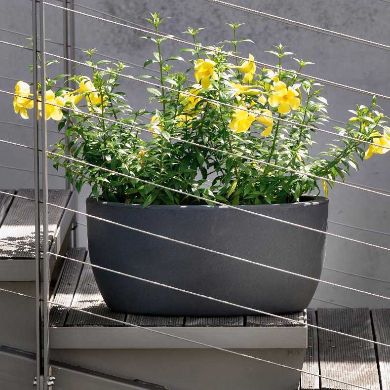 Ukrasna saksija Evolution Matt Athena Imprunneta - detalj