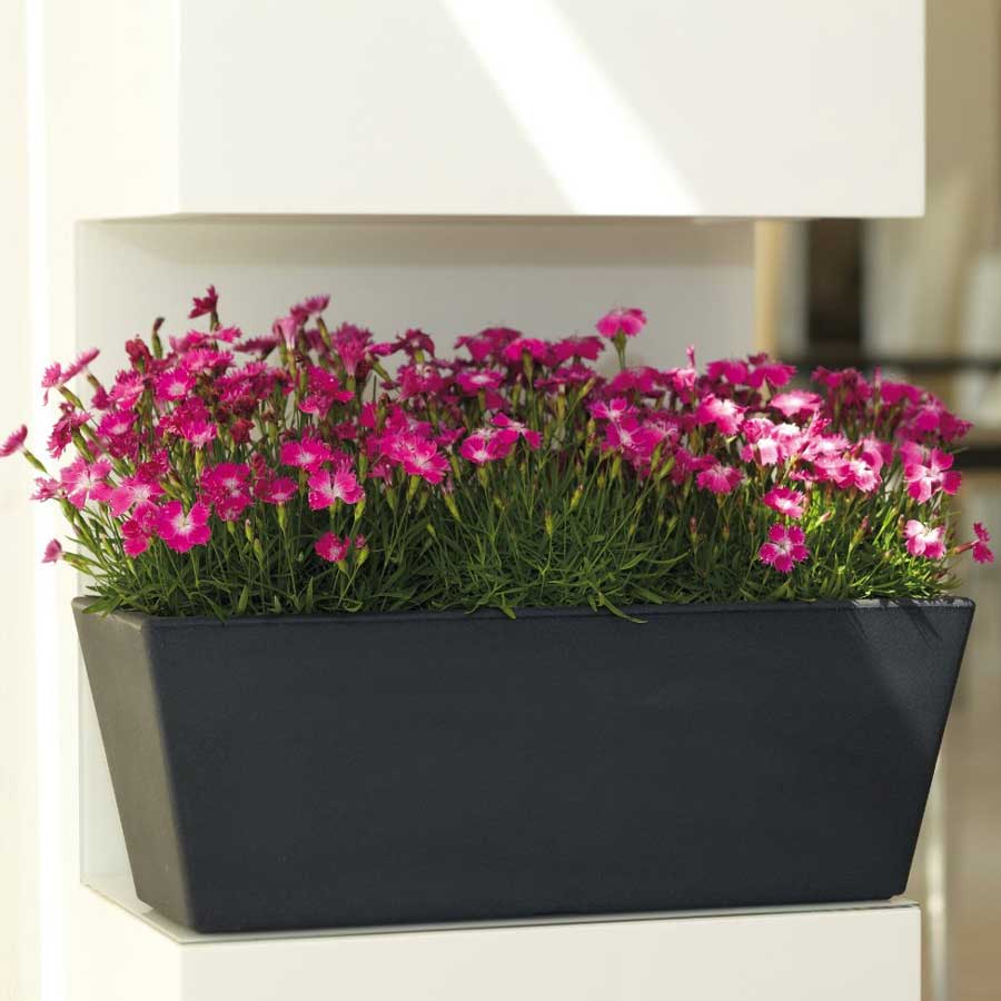 Žardinjera za bilje Evolution Matt Mysia 50cm Stone - detalj