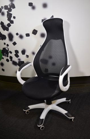 Radna Anatomska Stolica Executive 19 - detalj