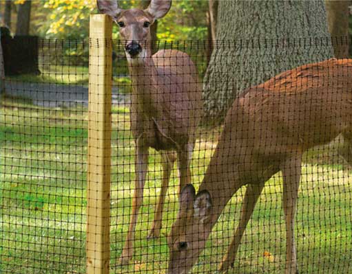 Mreža za ogradu Tenax 2m x 10m - detalj