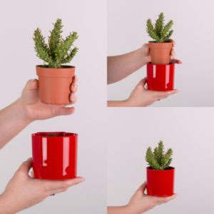 Saksija sa magnetom za malo cveće Magnetika 9 tirkiz - detalj