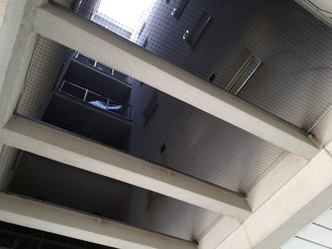 Zaštita od golubova Mreža protiv ptica T2 2x20m - detalj