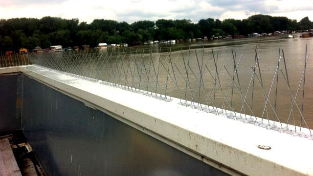 Zaštita od ptica AB Spike 2x0.5m - detalj