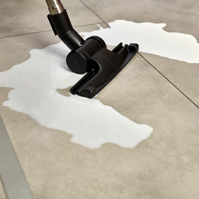 Usisivač Polti ForzAspira Lecologico Allergy Parquet - detalj