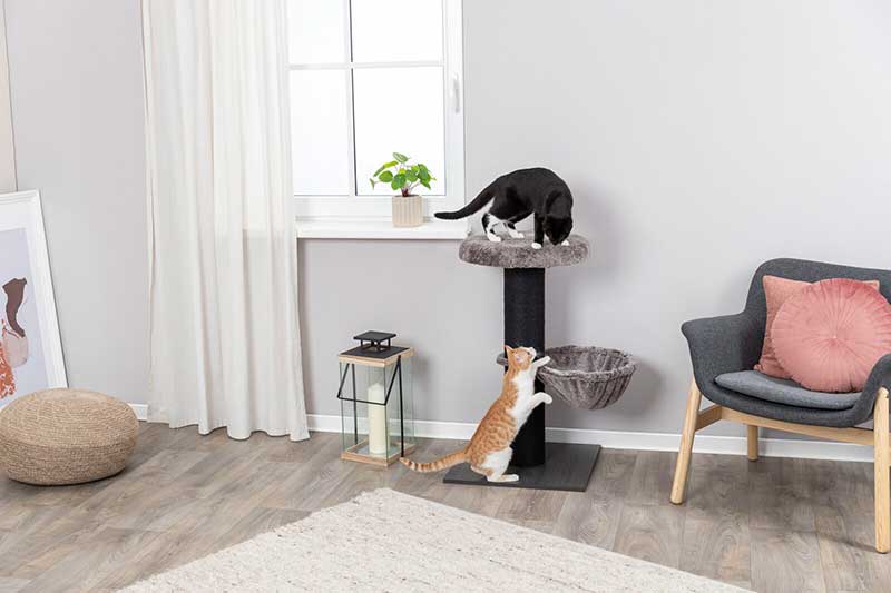 Stubna grebalica za mačke sa ležaljkom Mauricio 84cm Trixie 44458 - detalj