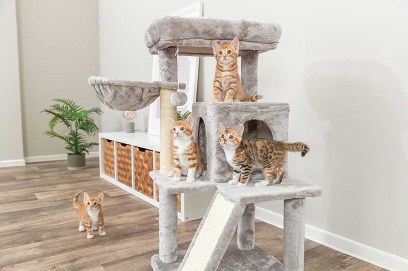 Grebalica igraonica za mačke 98cm Pepito Trixie 44435 - detalj