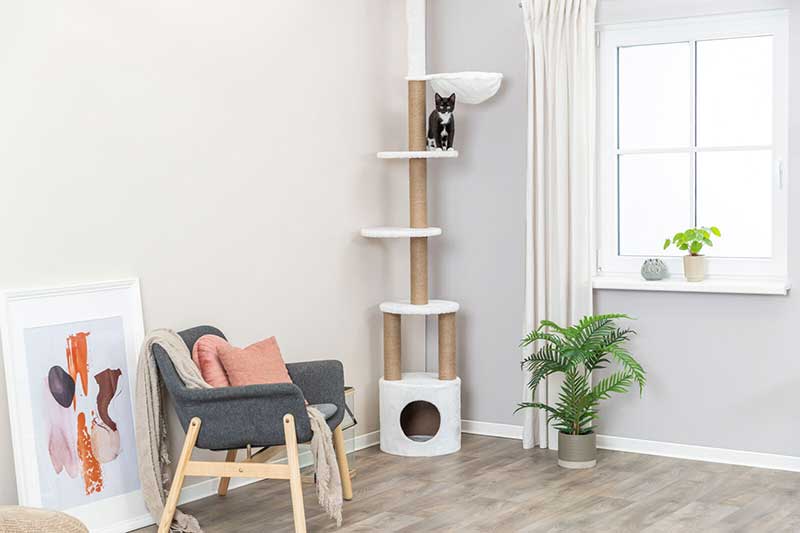 Grebalica igraonica za mačke visina 236-250cm Aurelio Trixie 44072 - detalj