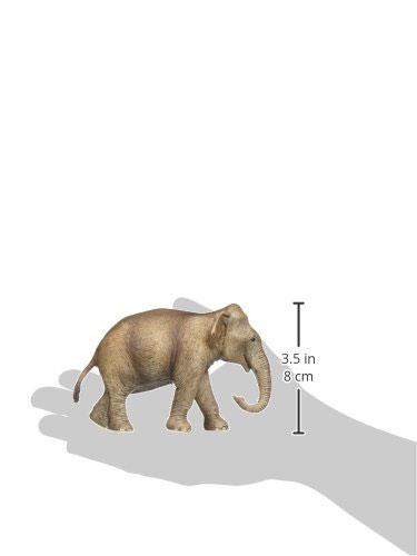 Schleich Figurice Divlje životinje - Azijski slon - ženka -14753 - detalj