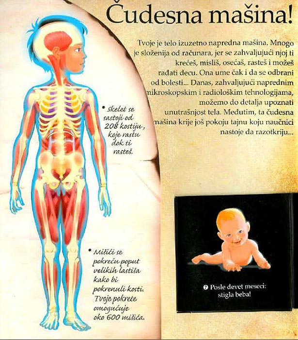 LaRousse Čovekovo telo, Valeri Vido - detalj