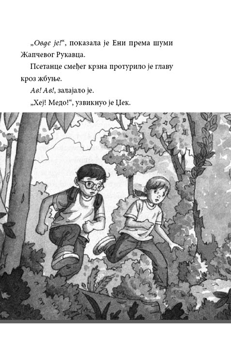 Čarobna Kućica Na Drvetu : Tigrovi U Sumrak , Meri Poup Ozborn - detalj
