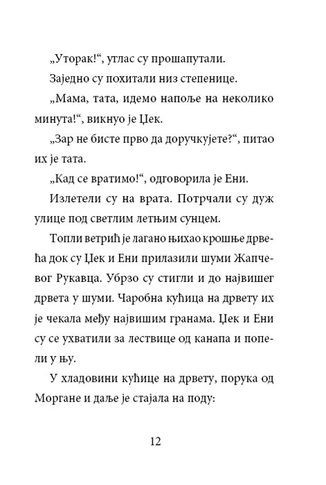 Čarobna Kućica Na Drvetu : Tornado u Utorak, Meri Poup Ozborn - detalj
