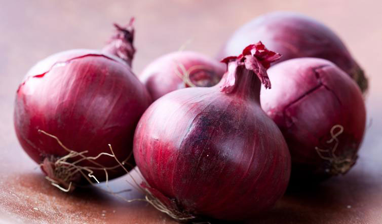 Crveni luk - ptujski - seme - Allium cepa L. 596 - detalj