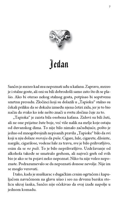 Knjiga Bez Naslova, Nepoznati Pisac - detalj