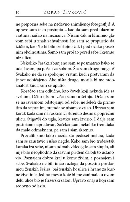 Most, Zoran Živković - detalj