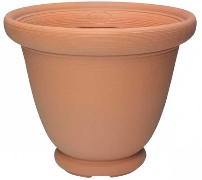 Di Martino Saksija Brenta 35 011251 - detalj