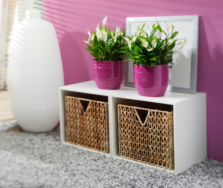 Soendgen keramička saksija Barletta 19cm ciklama - detalj