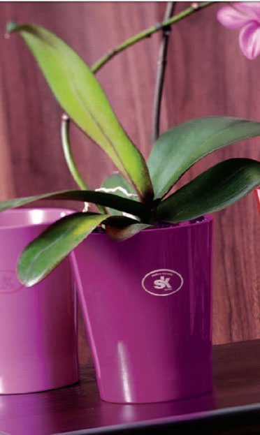 Soendgen keramička saksija Merina Candy 15cm kupina - detalj