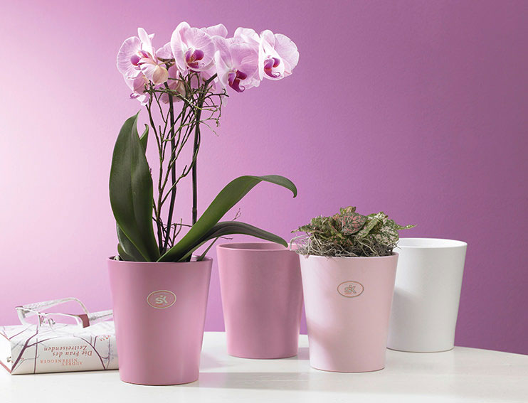 Soendgen keramička saksija Merina Candy 15cm lavanda - detalj