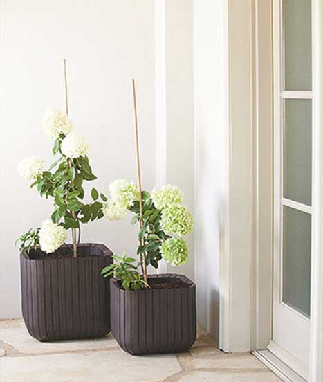 Curver Velika saksija za cveće Cube Planter M 21.5L - detalj