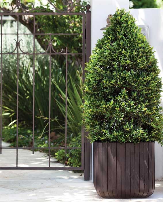 Curver Velika saksija za cveće Cube Planter L 50.5L - detalj